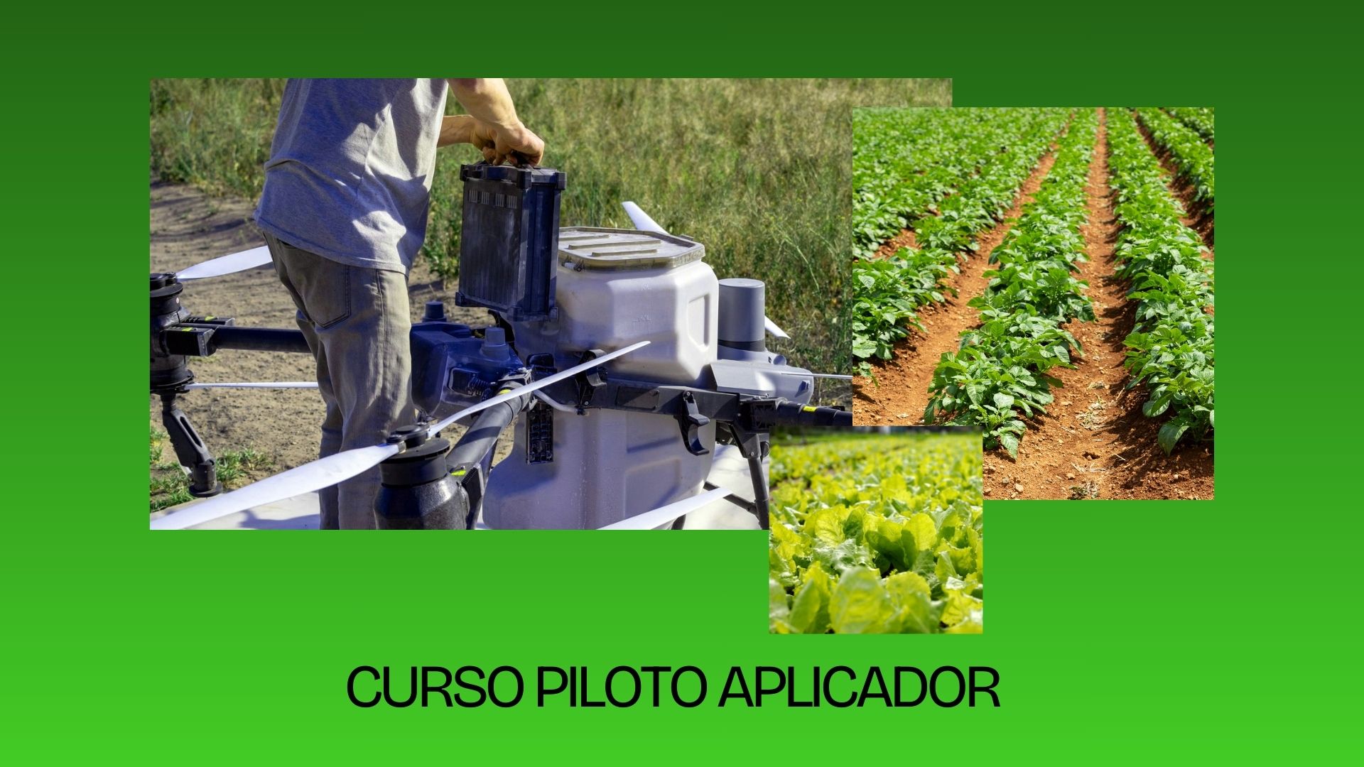 Curso Piloto Aplicador Fitosanitarios